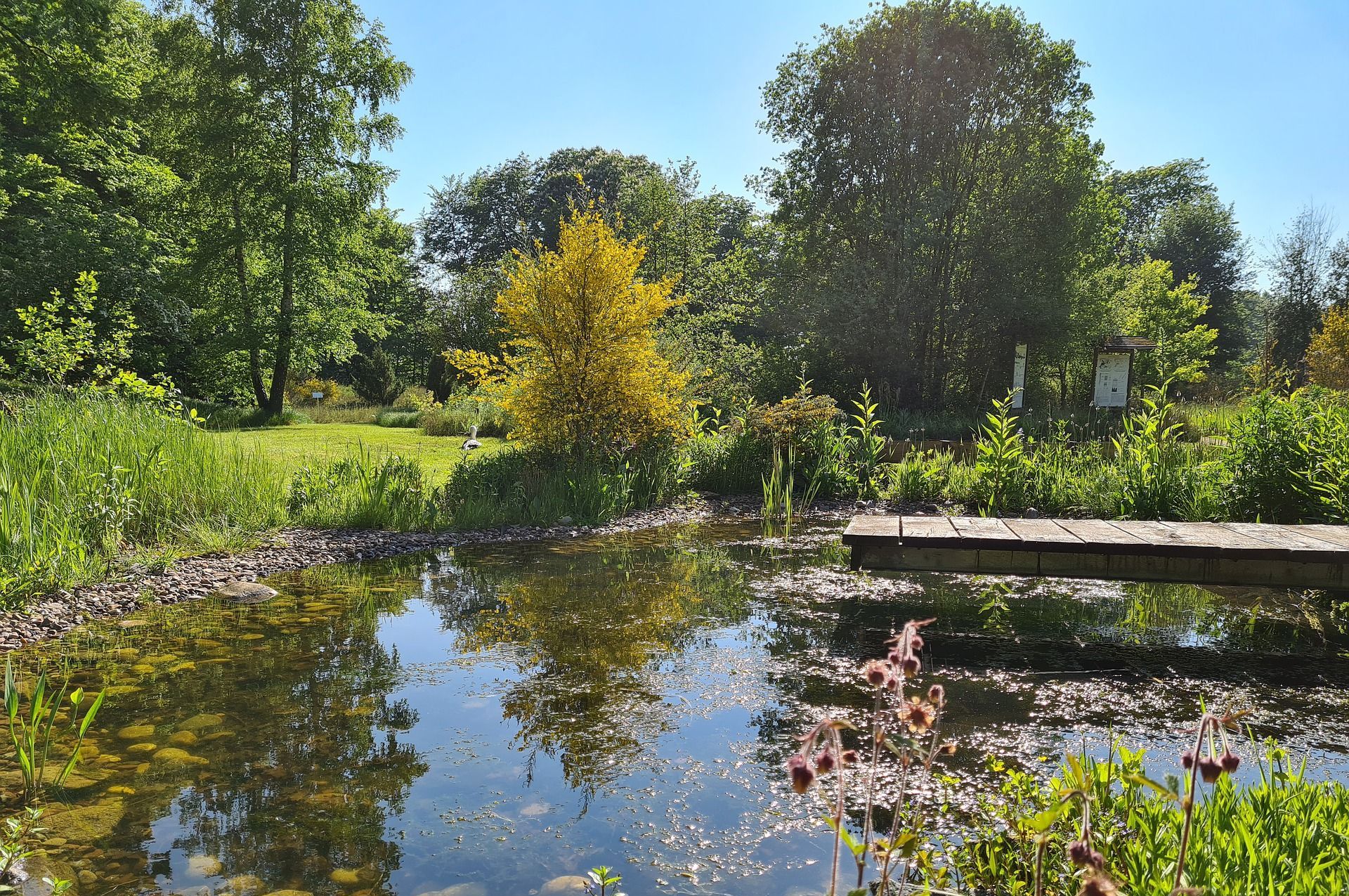 The teich ornithological park